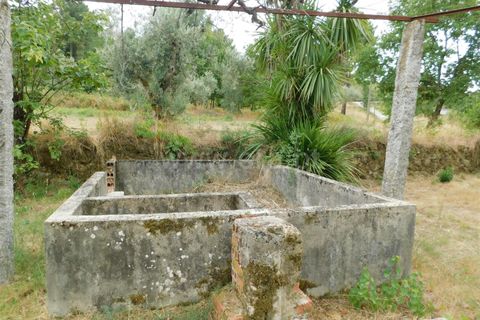 Helårsgrund i Seia, Guarda, Seia - € 18.500 | Ref: 382220393 - foto 10