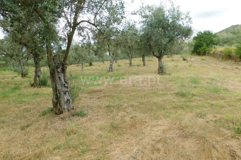 Helårsgrund i Seia, Guarda, Seia - € 18.500 | Ref: 382220393 - foto 12