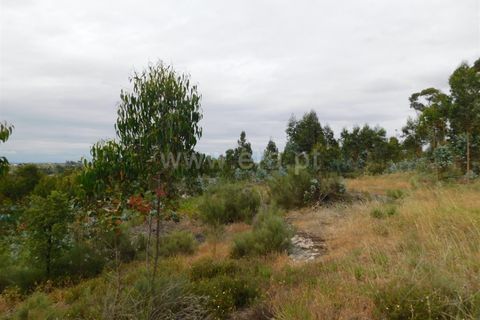 Tomt i Seia, Guarda, Seia - € 30 000 | Ref: 382220306 - foto 5
