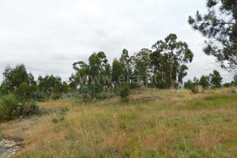 Tomt i Seia, Guarda, Seia - € 30 000 | Ref: 382220306 - foto 6