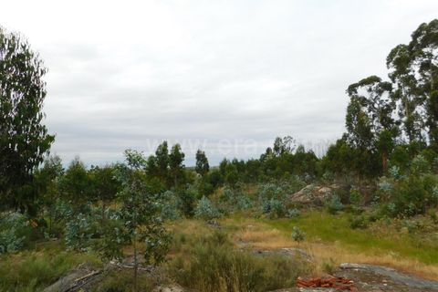 Tomt i Seia, Guarda, Seia - € 30 000 | Ref: 382220306 - foto 8