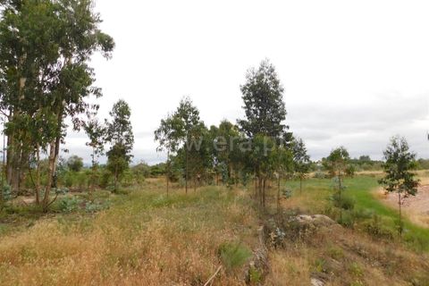Tomt i Seia, Guarda, Seia - € 30 000 | Ref: 382220306 - foto 16
