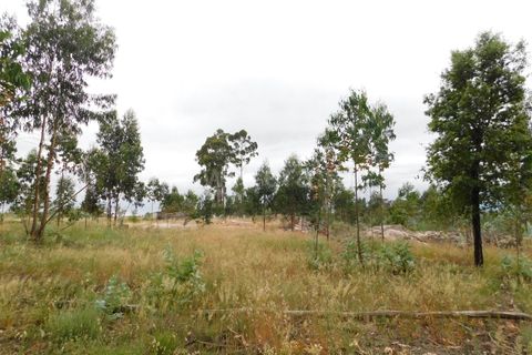 Tomt i Seia, Guarda, Seia - € 30 000 | Ref: 382220306 - foto 20