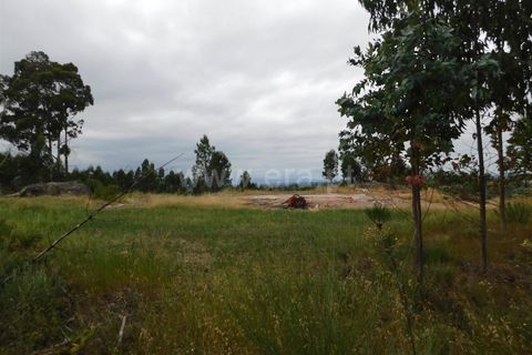 Tomt i Seia, Guarda, Seia - € 30 000 | Ref: 382220306 - foto 21