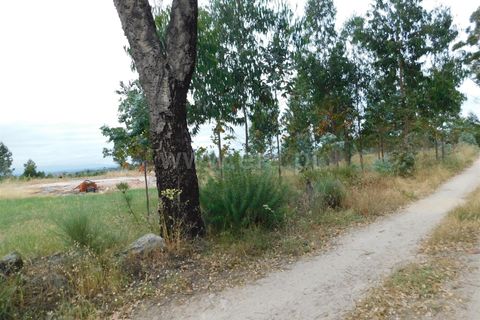 Tomt i Seia, Guarda, Seia - € 30 000 | Ref: 382220306 - foto 22