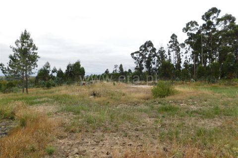 Tomt i Seia, Guarda, Seia - € 30 000 | Ref: 382220306 - foto 25