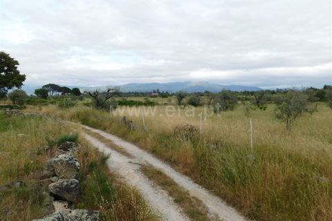 Tomt i Seia, Guarda, Seia - € 30 000 | Ref: 382220306 - foto 26