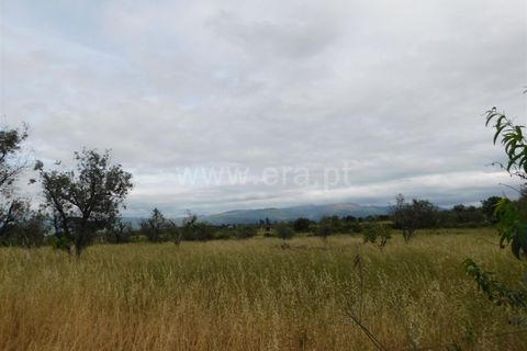 Tomt i Seia, Guarda, Seia - € 30 000 | Ref: 382220306 - foto 28