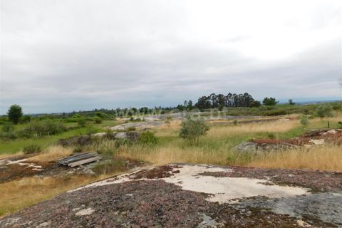 Tomt i Seia, Guarda, Seia - € 30 000 | Ref: 382220306 - foto 33