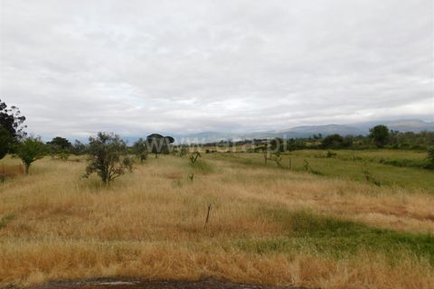 Tomt i Seia, Guarda, Seia - € 30 000 | Ref: 382220306 - foto 35