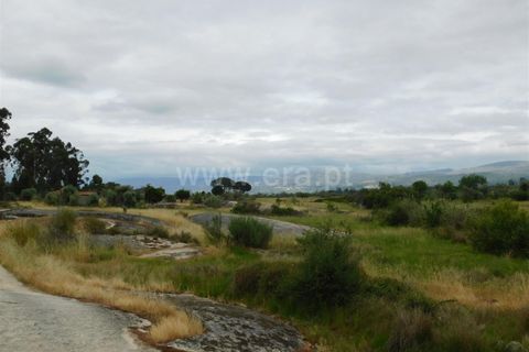 Tomt i Seia, Guarda, Seia - € 30 000 | Ref: 382220306 - foto 38