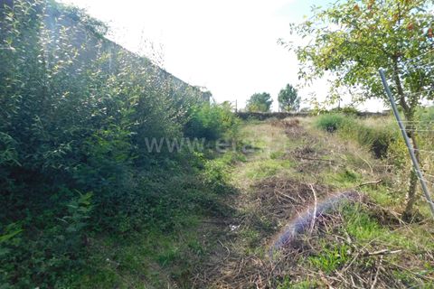 Helårsgrund i Seia, Guarda, Seia - € 21.000 | Ref: 382220416 - foto 3