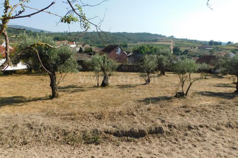 Villa i Seia, Guarda, Seia - € 170.000 | Ref: 382220421 - foto 16