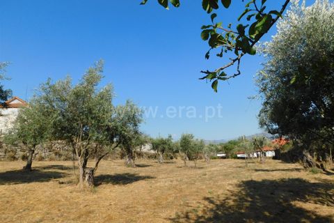 Villa i Seia, Guarda, Seia - € 170.000 | Ref: 382220421 - foto 19