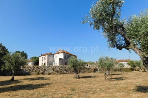 Villa i Seia, Guarda, Seia - € 170.000 | Ref: 382220421 - foto 20
