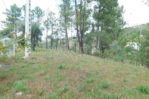 Helårsgrund i Seia, Guarda, Seia - € 75.000 | Ref: 382220422 - foto 5