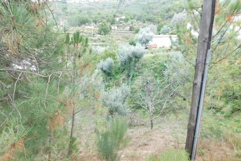 Helårsgrund i Seia, Guarda, Seia - € 75.000 | Ref: 382220422 - foto 6