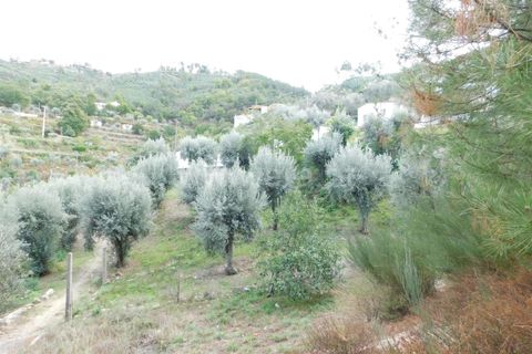 Helårsgrund i Seia, Guarda, Seia - € 75.000 | Ref: 382220422 - foto 8