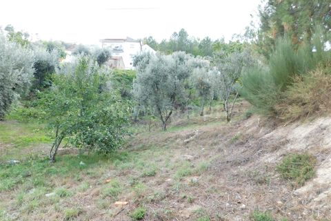 Helårsgrund i Seia, Guarda, Seia - € 75.000 | Ref: 382220422 - foto 9