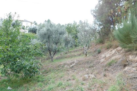 Helårsgrund i Seia, Guarda, Seia - € 75.000 | Ref: 382220422 - foto 10
