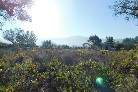 Helårsgrund i Seia, Guarda, Seia - € 45.000 | Ref: 382220446 - foto 2