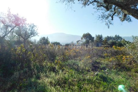 Helårsgrund i Seia, Guarda, Seia - € 45.000 | Ref: 382220446 - foto 3