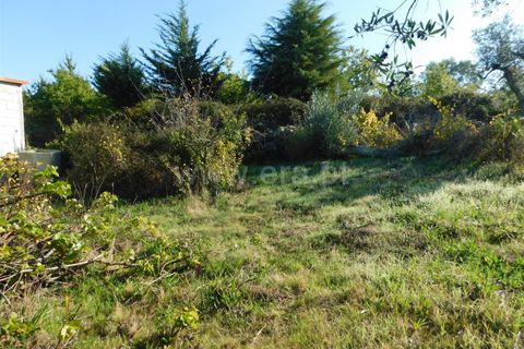 Helårsgrund i Seia, Guarda, Seia - € 45.000 | Ref: 382220446 - foto 4
