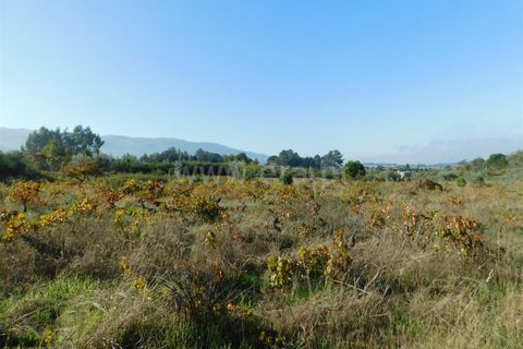 Helårsgrund i Seia, Guarda, Seia - € 45.000 | Ref: 382220446 - foto 5
