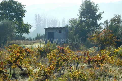 Helårsgrund i Seia, Guarda, Seia - € 45.000 | Ref: 382220446 - foto 6