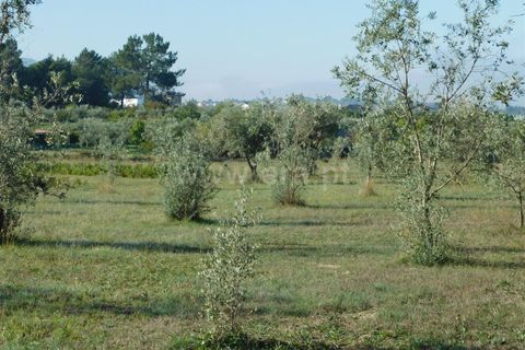 Helårsgrund i Seia, Guarda, Seia - € 45.000 | Ref: 382220446 - foto 7