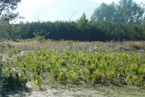 Helårsgrund i Seia, Guarda, Seia - € 45.000 | Ref: 382220446 - foto 8