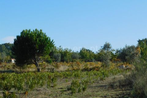 Helårsgrund i Seia, Guarda, Seia - € 45.000 | Ref: 382220446 - foto 9