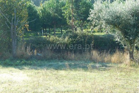 Helårsgrund i Seia, Guarda, Seia - € 45.000 | Ref: 382220446 - foto 10