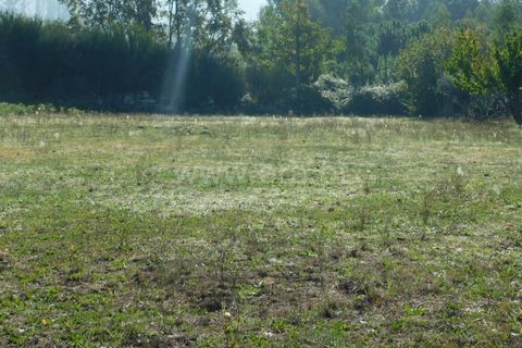 Helårsgrund i Seia, Guarda, Seia - € 45.000 | Ref: 382220446 - foto 12