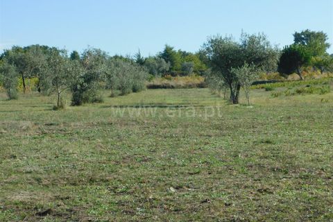 Helårsgrund i Seia, Guarda, Seia - € 45.000 | Ref: 382220446 - foto 13