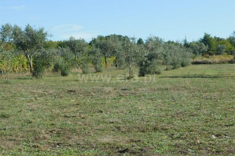 Helårsgrund i Seia, Guarda, Seia - € 45.000 | Ref: 382220446 - foto 14