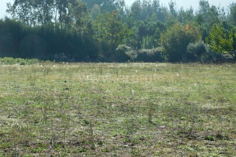 Helårsgrund i Seia, Guarda, Seia - € 45.000 | Ref: 382220446 - foto 15