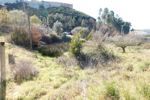Tomt i Seia, Guarda, Seia - € 22 000 | Ref: 382220476 - foto 4