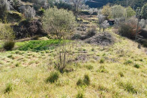 Tomt i Seia, Guarda, Seia - € 22 000 | Ref: 382220476 - foto 6