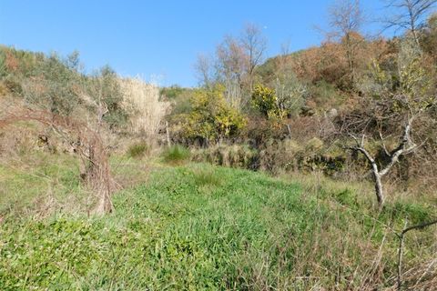 Tomt i Seia, Guarda, Seia - € 22 000 | Ref: 382220476 - foto 8
