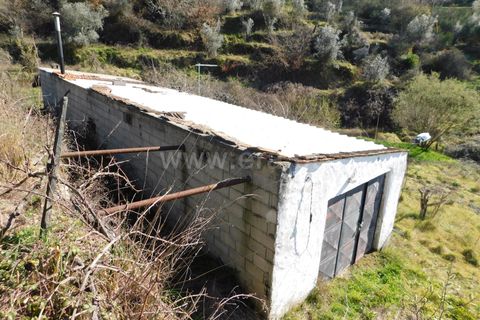 Tomt i Seia, Guarda, Seia - € 22 000 | Ref: 382220476 - foto 15