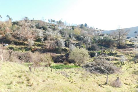Tomt i Seia, Guarda, Seia - € 22 000 | Ref: 382220476 - foto 16