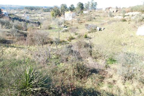 Tomt i Seia, Guarda, Seia - € 22 000 | Ref: 382220476 - foto 19