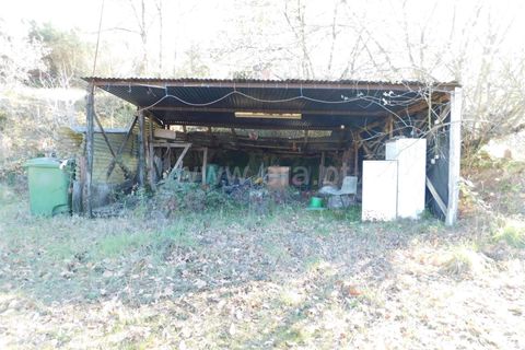 Tomt i Seia, Guarda, Seia - € 22 000 | Ref: 382220476 - foto 20