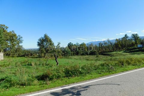 Helårsgrund i Seia, Guarda, Seia - € 16.000 | Ref: 382220477 - foto 2