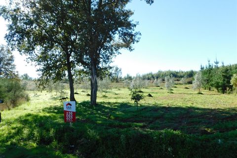 Helårsgrund i Seia, Guarda, Seia - € 16.000 | Ref: 382220477 - foto 3