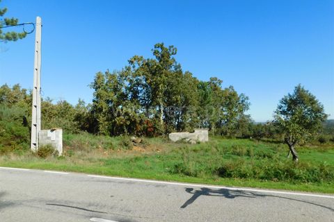 Helårsgrund i Seia, Guarda, Seia - € 16.000 | Ref: 382220477 - foto 4