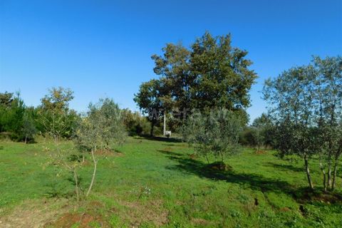 Helårsgrund i Seia, Guarda, Seia - € 16.000 | Ref: 382220477 - foto 6