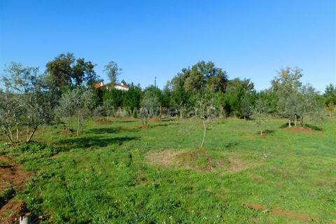 Helårsgrund i Seia, Guarda, Seia - € 16.000 | Ref: 382220477 - foto 7
