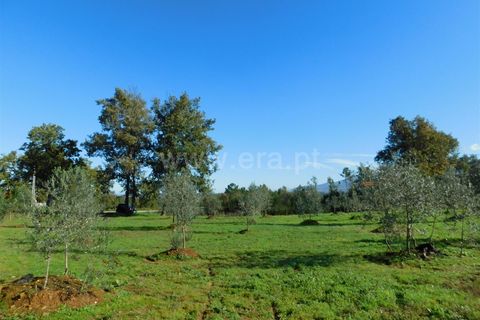 Helårsgrund i Seia, Guarda, Seia - € 16.000 | Ref: 382220477 - foto 8